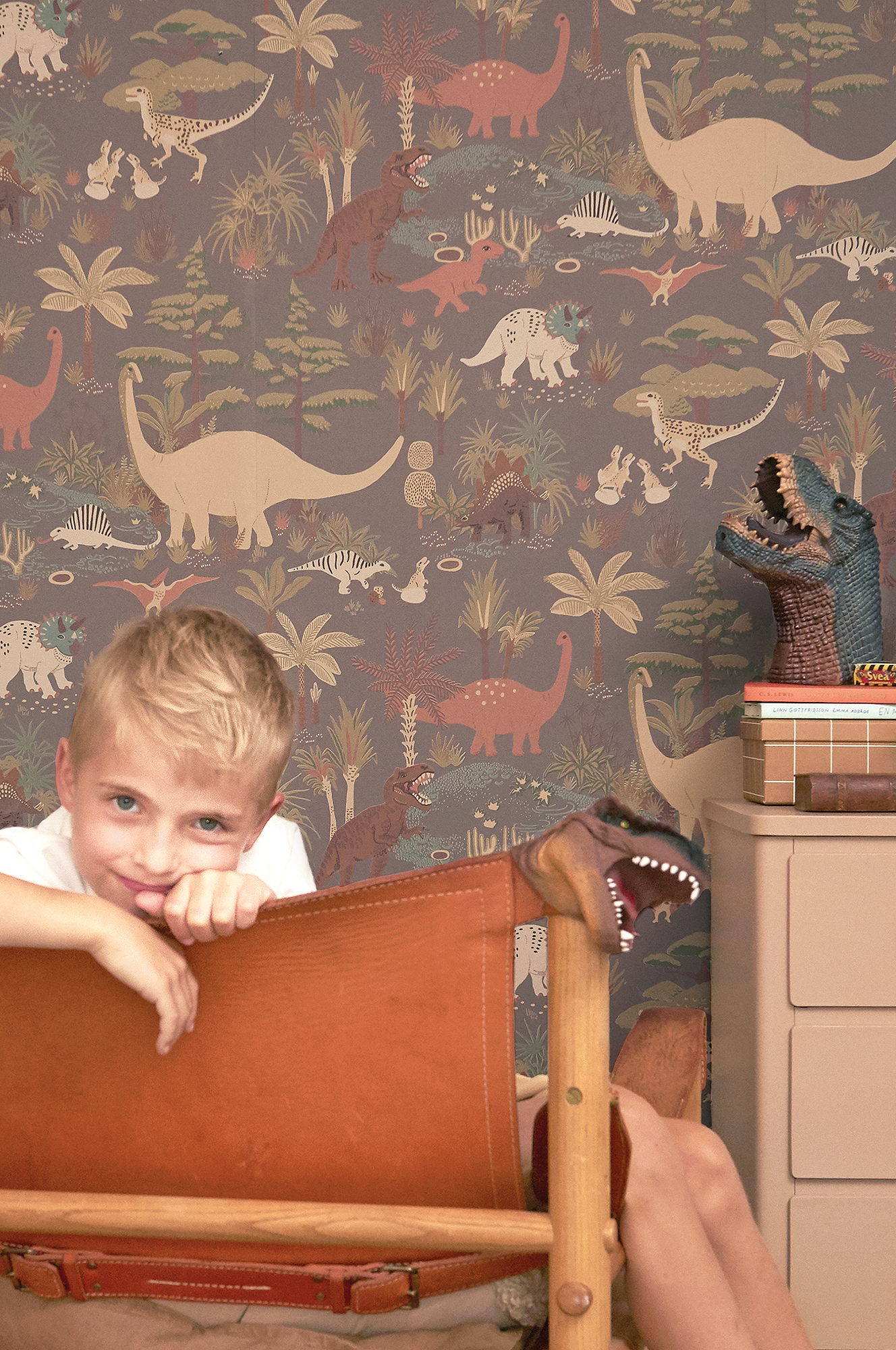 DINOSAUR VIBES EVENING GREY - 2