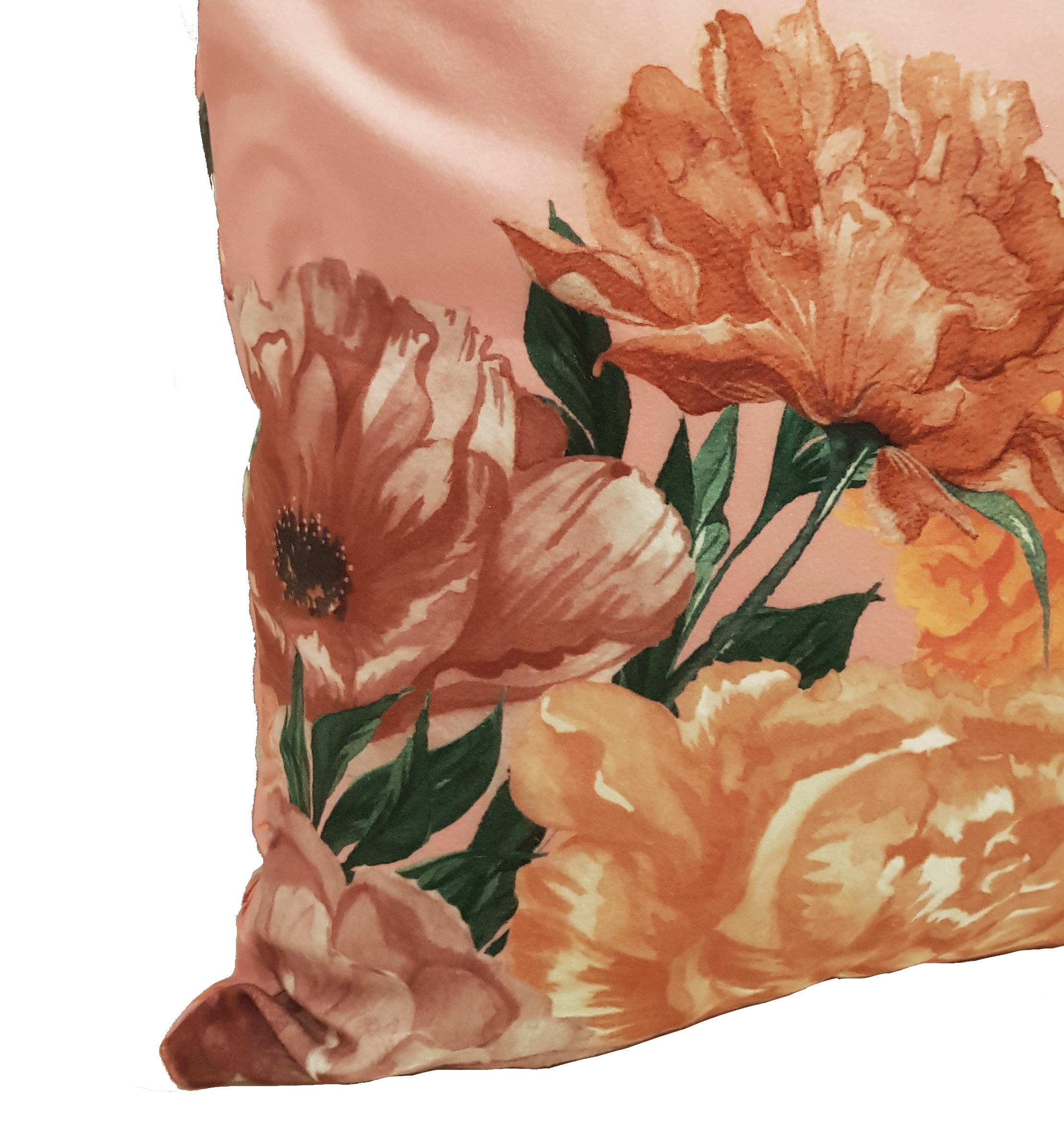 Paula vintage ROSE
