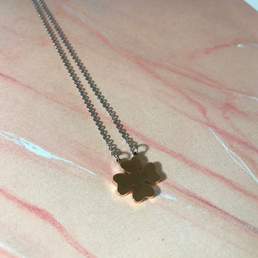Lycky necklace steel