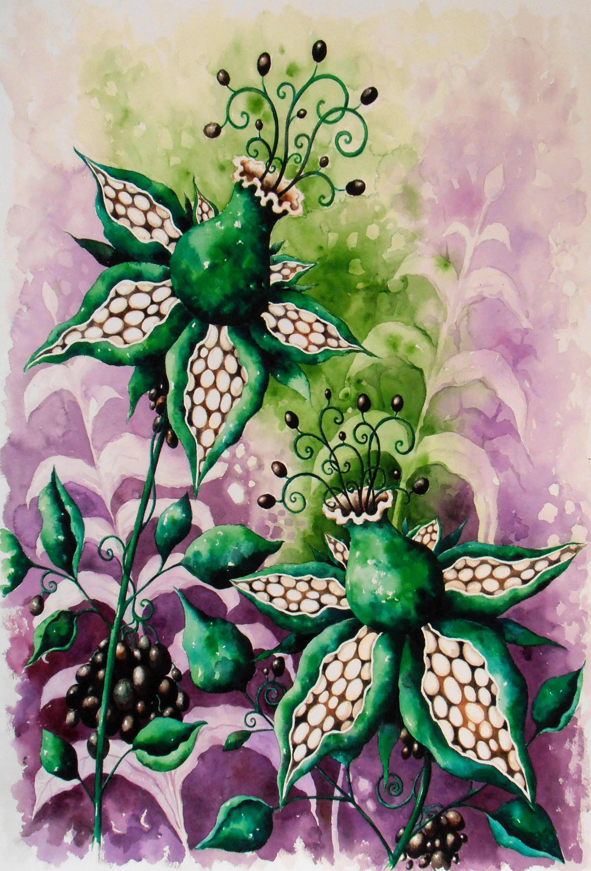 Trolberry Blossom 
