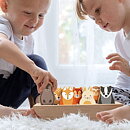Rosa & Bo Träleksak Leksaksbåt med djur 3-pack