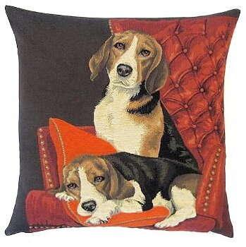 Beagel i soffa