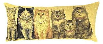 Cat row  1/2 Roll