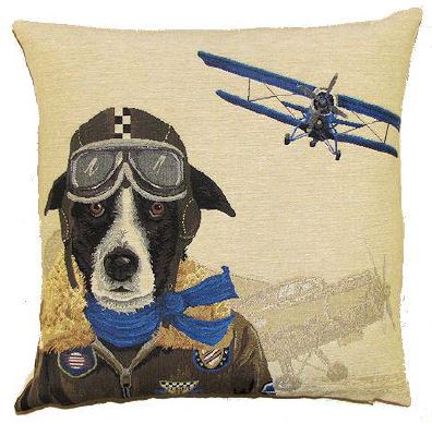 Border collie pilot