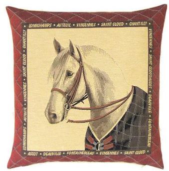Horse with Brown Blanket