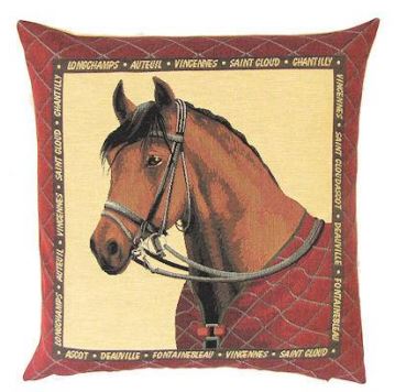 Horse with Red Blanket