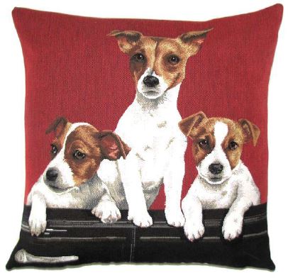 Jack Russells in Car
