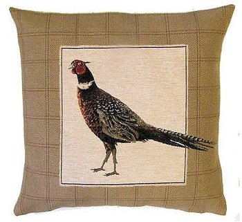 Pheasant Tail Down