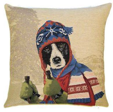 Border Collie på skidor