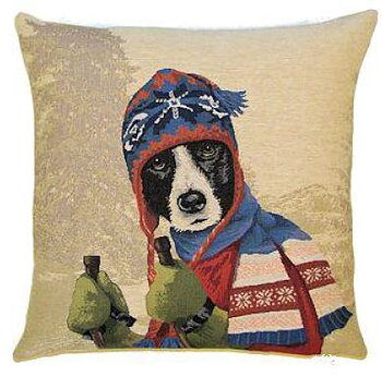 Border Collie på skidor