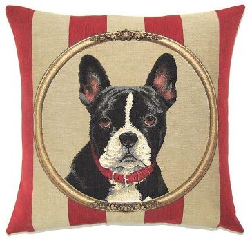 Wallpaper Boston Terrier