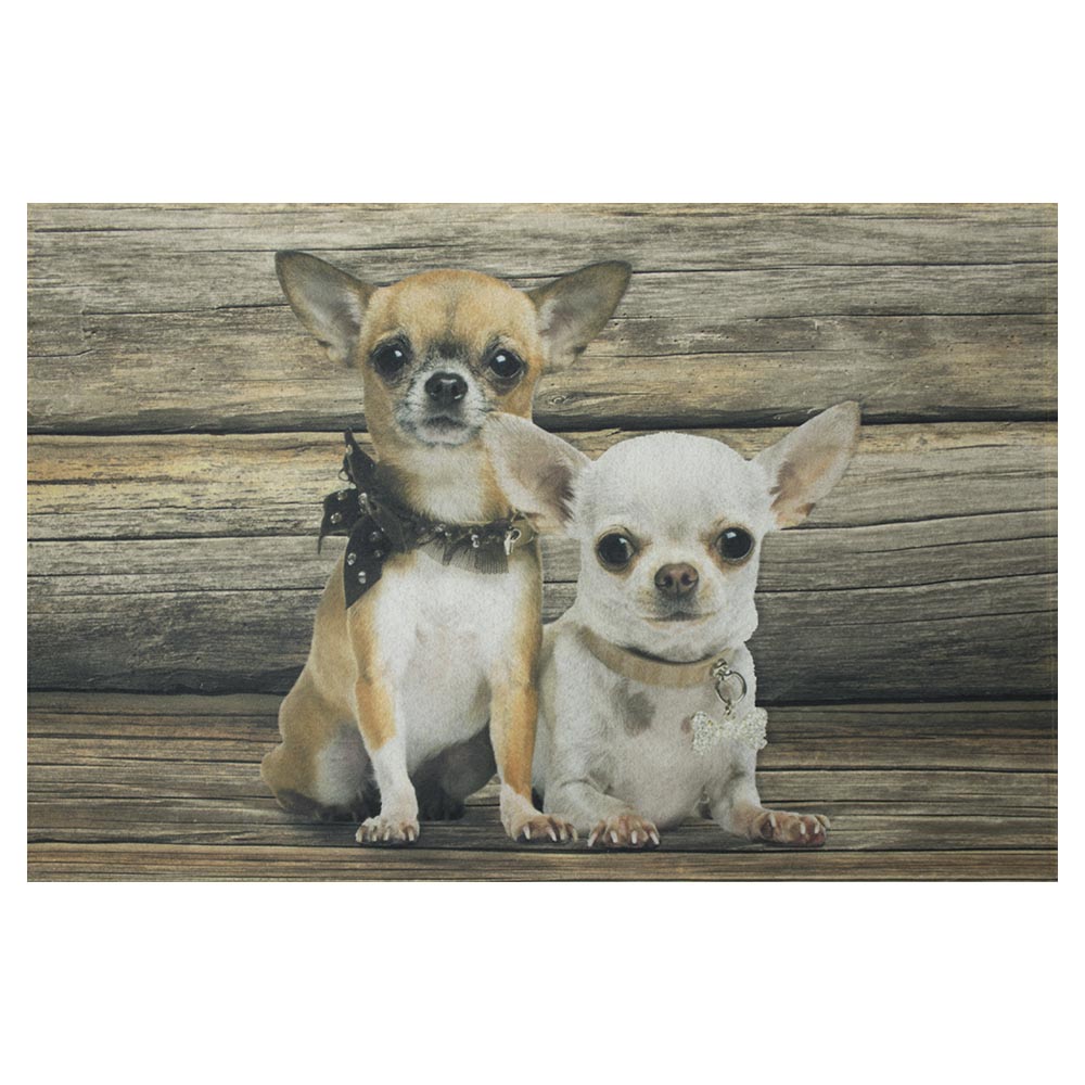 Dörrmatta Chihuahuas 