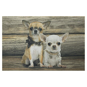 Dörrmatta Chihuahuas 
