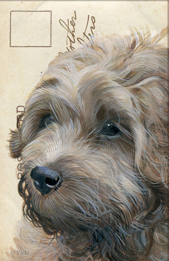Kort med kuvert  Labradoddle