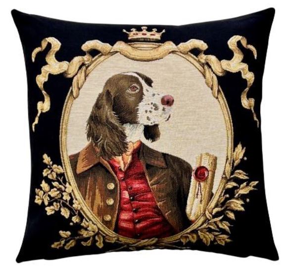 Springer Spaniel in frame