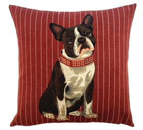 Boston Terrier