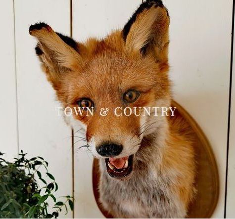 Nyhet Town & Country