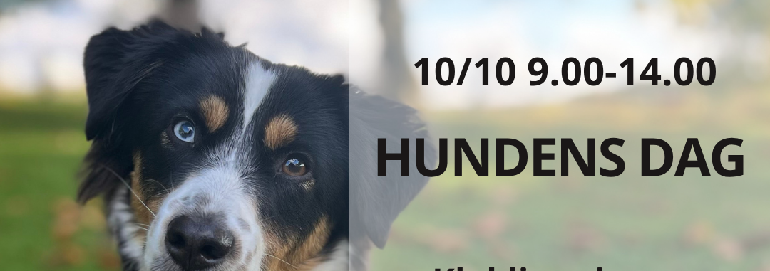 Vad händer hos oss? Håll koll på vår kalender! 