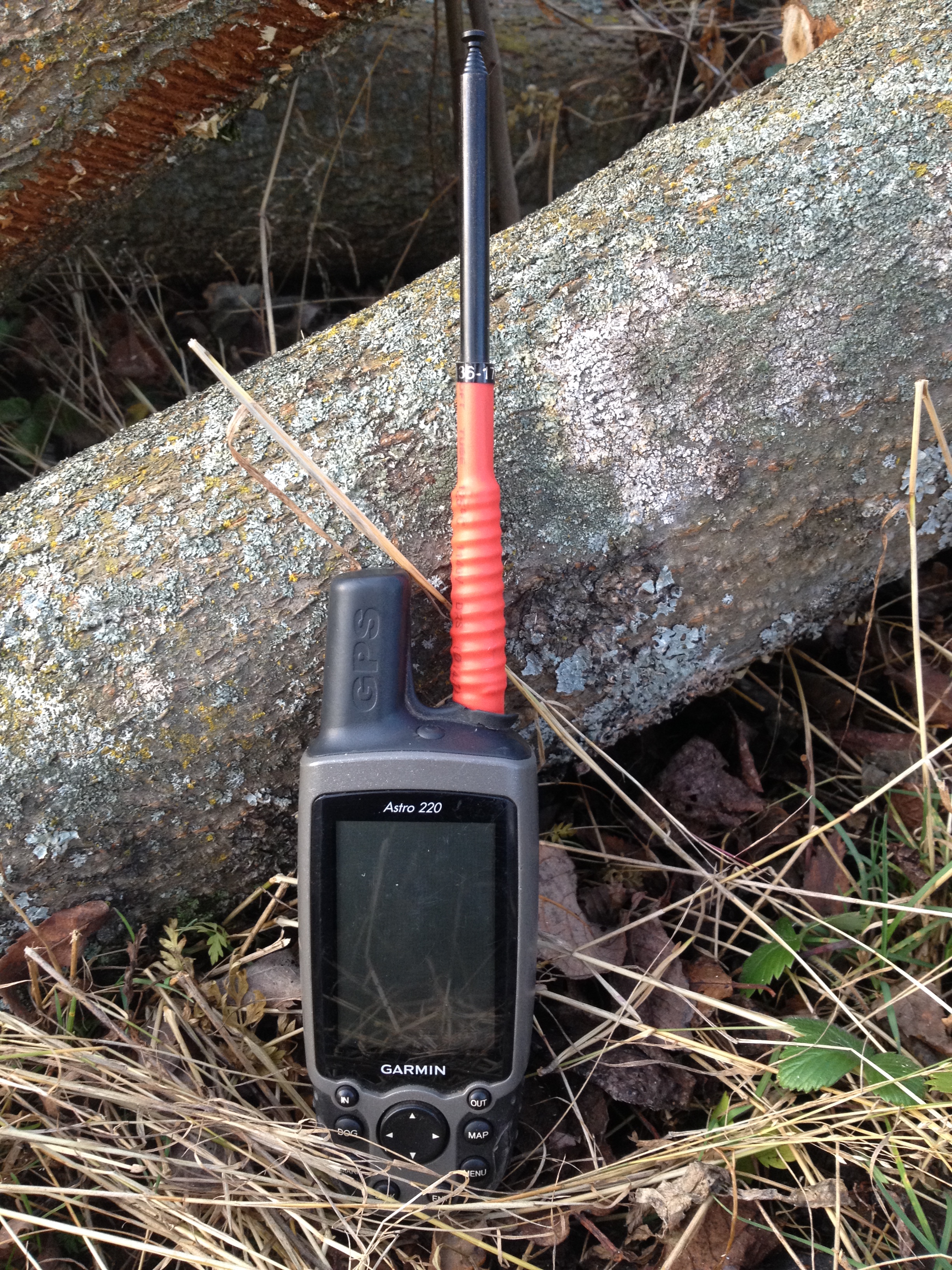 Teleskopantenn Fjäder - 5