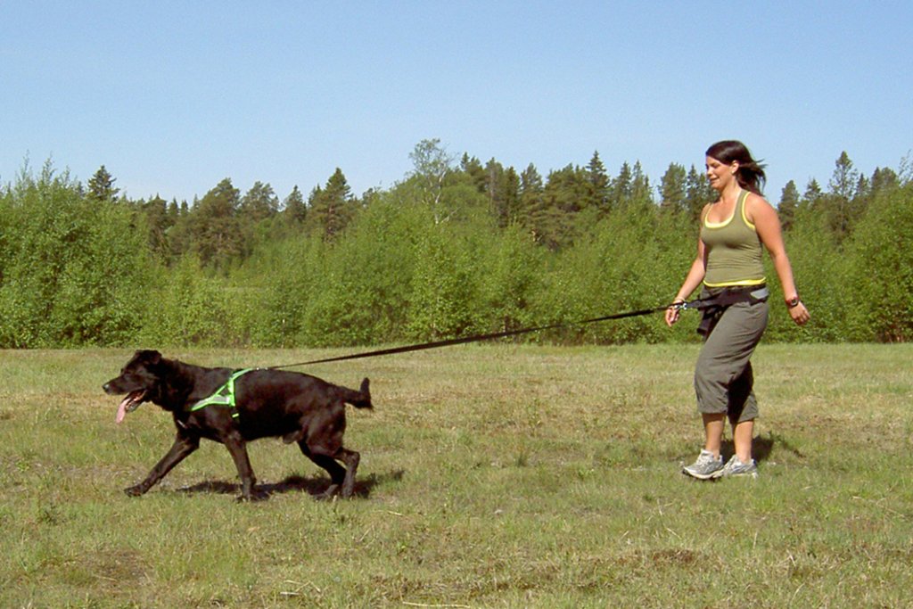 Baggen Softbelt Standard - 7