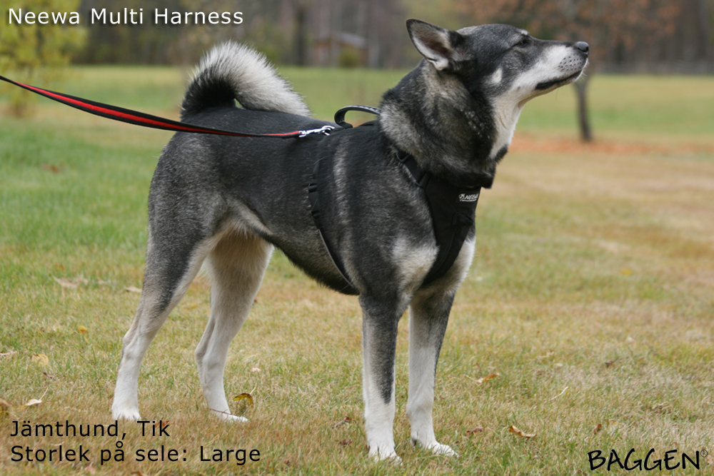 Neewa Multi Harness - 7