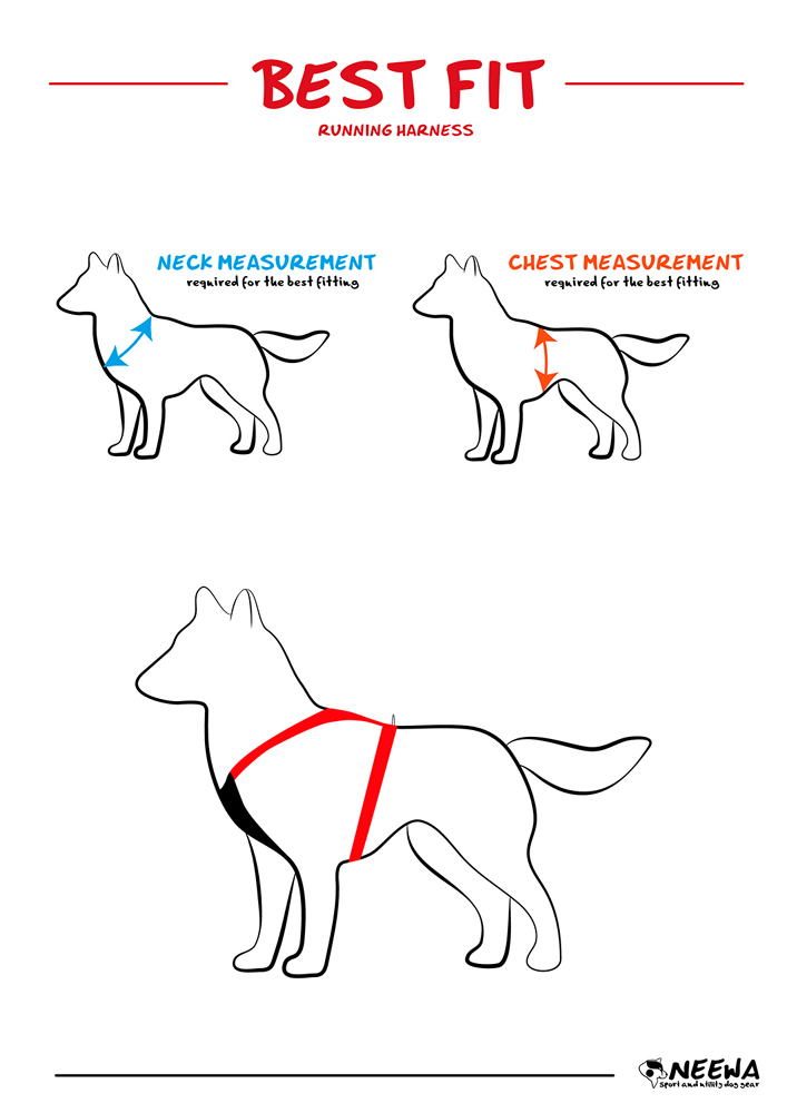 Neewa Multi Harness - 6