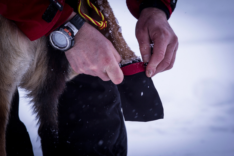 Neewa Hundsockor Cordura - 2