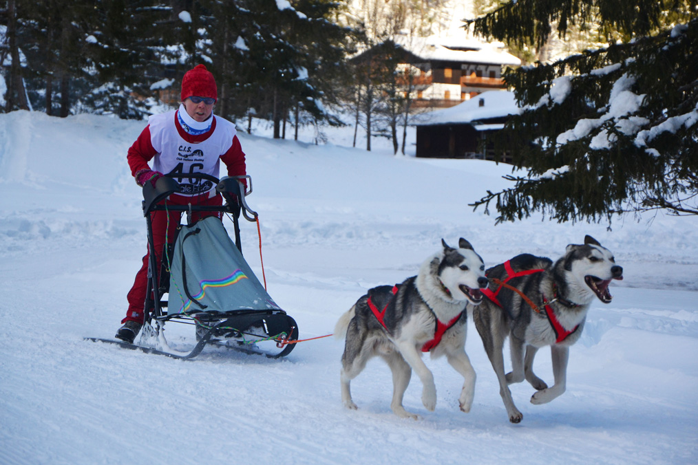 Neewa Sled Pro Dragsele - 4
