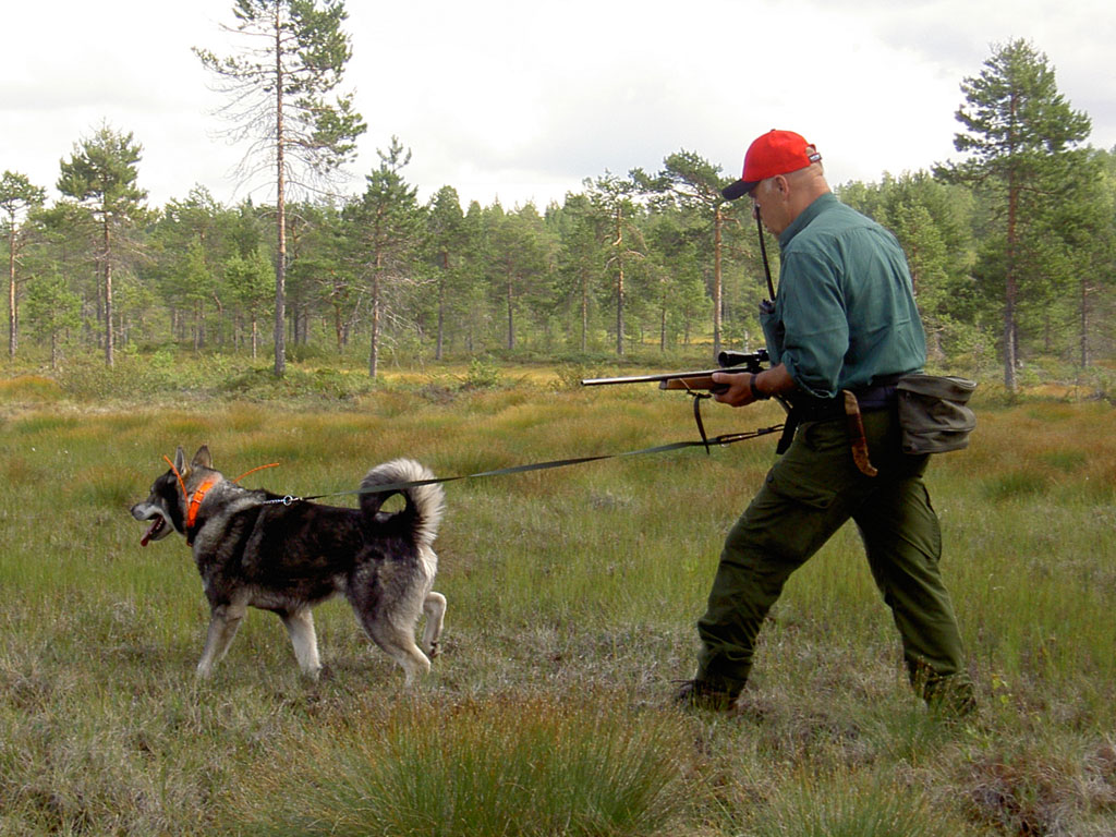 Baggen Softbelt Vildmark - 3