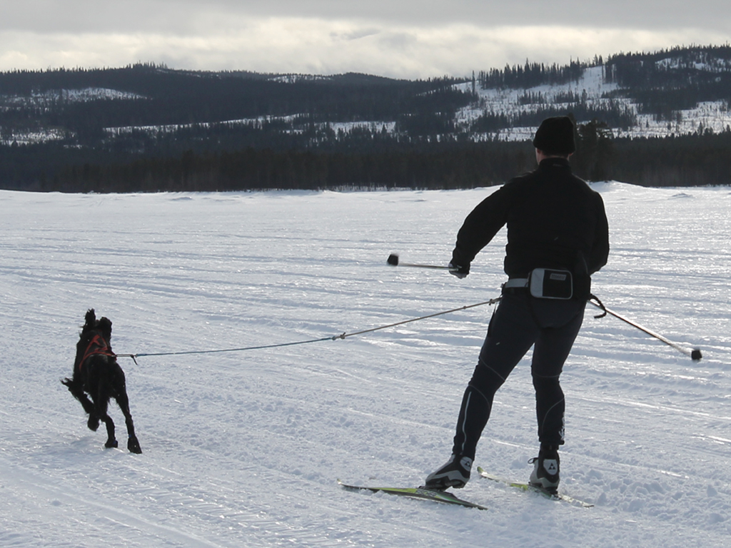 Baggen Softbelt Vildmark - 5