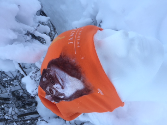 Mössa Jämthund Orange - 3