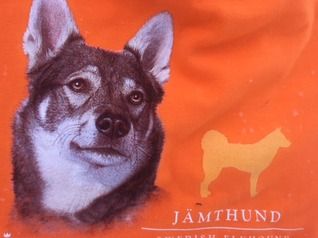 Mössa Jämthund Orange - 4