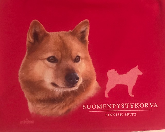 Mössa Finsk Spets Rosa - 2