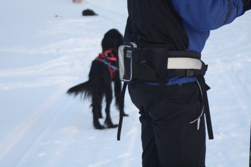 Baggen Nedhållarband Softbelt Reflex/Vildmark - 5