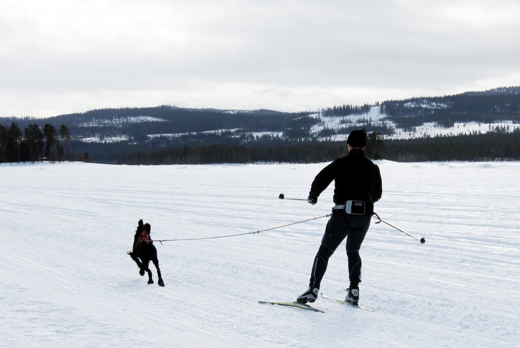 Baggen Väska Softbelt Svart/reflex - 5