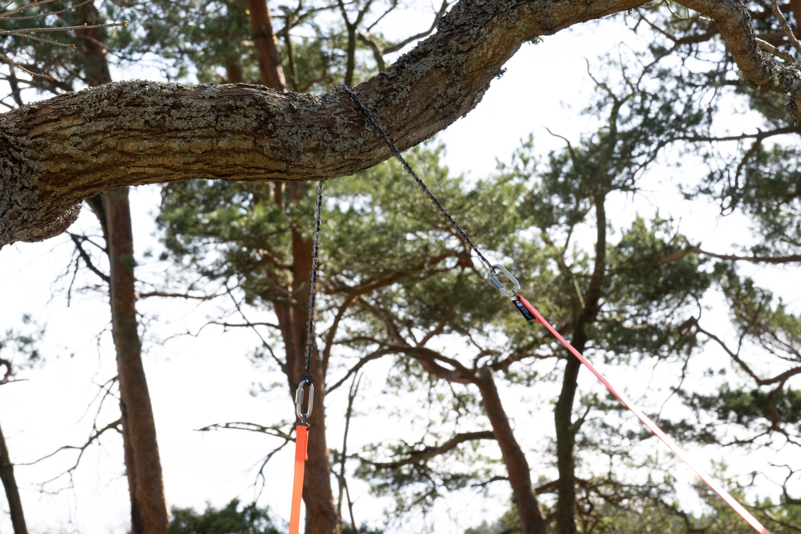 Nordic Pocket Saw Arborist V.2 Orange/black - 2