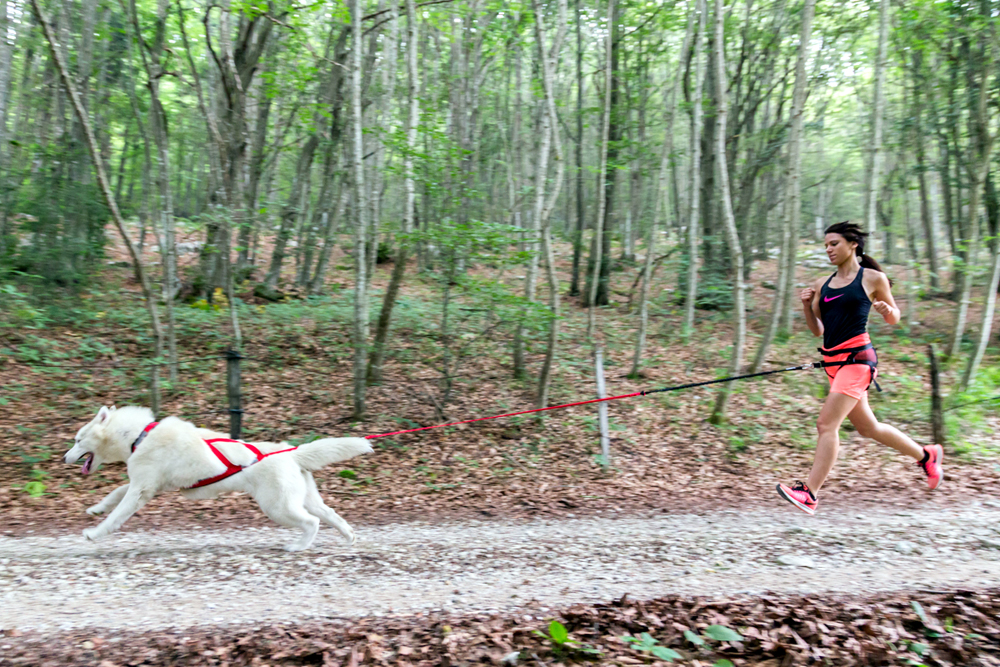 Neewa Joggingbälte - 5