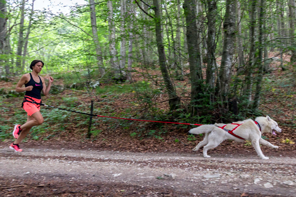 Neewa Joggingbälte - 4
