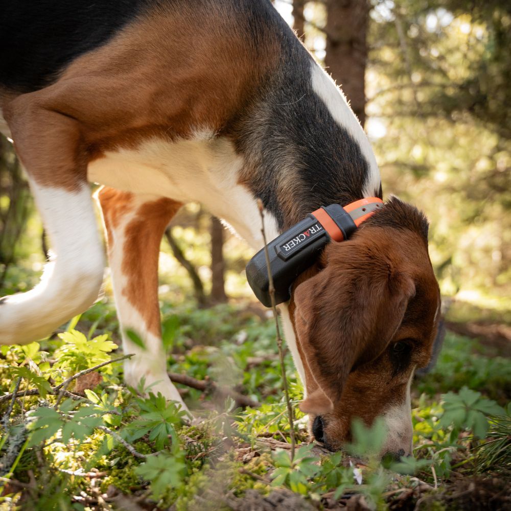 Tracker Luna Hundpejl - 4