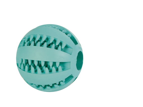 Trixie Denta Fun Mintfresh Boll ø 7cm