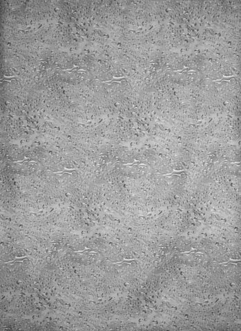 Zasłona WATER GREY