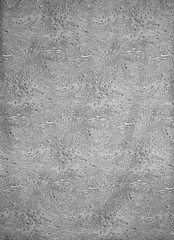 Zasłona WATER GREY