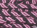 Lila  / Svart runt tvinnat band 4 mm