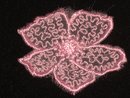 Rosa blomapplikation (45 x 40 mm)