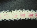 Vit / Rosa spets 20 mm