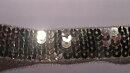 Guldfärgat paljettband 20 mm