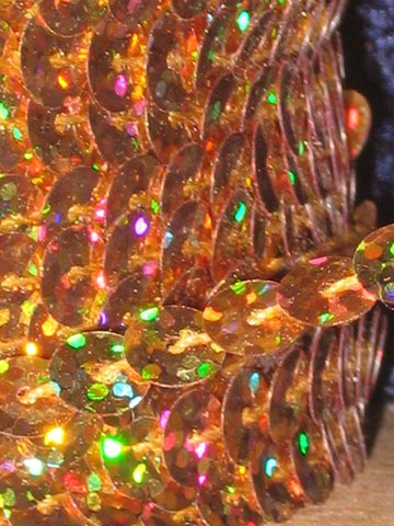 Guldfärgat hologrampaljettband 6 mm