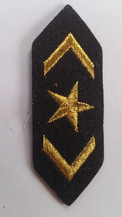 Guldfärgad stryka-på applikation, Uniformsmärke (75 x 25 mm)