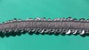 Silverfärgat paljett-stretchband 20 mm