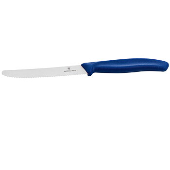 Snitt och allkniv, blått handtag,våg  100 mm